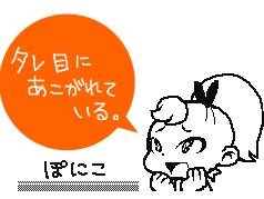 タレ目にあこがれている。ぽにこ