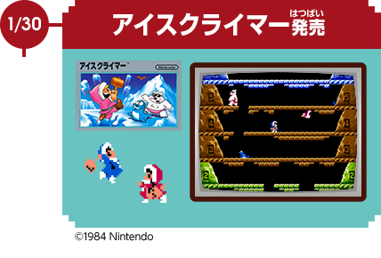 1/30　アイスクライマー発売　©1984 Nintendo