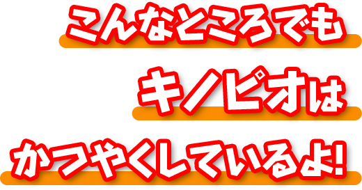 こんなところでもキノピオはかつやくしているよ!