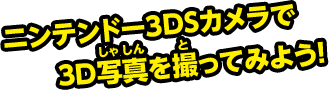 ニンテンドー3DSカメラで3D写真を撮ってみよう！