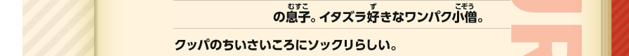の息子。イタズラ好きなワンパク小僧。クッパのちいさいころにソックリらしい。