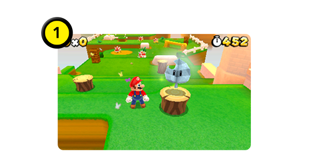 W8クリア後のスペシャルワールドで登場する、このアイテム。