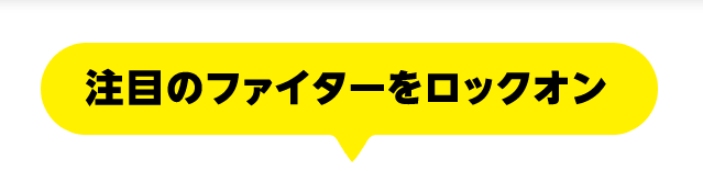 注目のファイターをロックオン