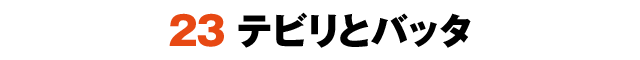 23テビリとバッタ