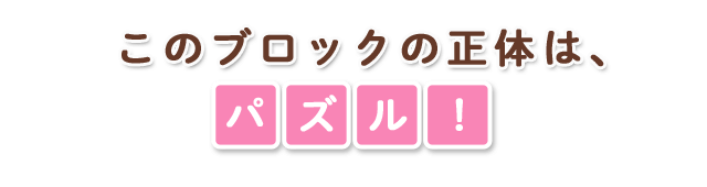 このブロックの正体は、パズル！