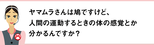 ヤマムラさんは鳩ですけど、人間の運動するときの体の感覚とか分かるんですか？