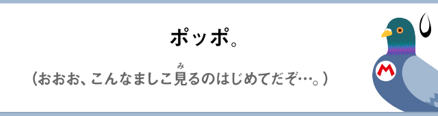 ポポポ。（おおお、こんなましこ見るのはじめてだぞ…。）