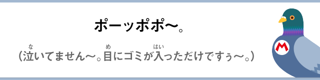 ポーッポポ～。（泣いてません～。目にゴミが入っただけですぅ～。）