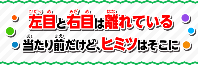 左目と右目は離れている当たり前だけど、ヒミツはそこに