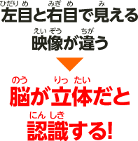 左目と右目で見える映像が違う 脳が立体だと認識する！