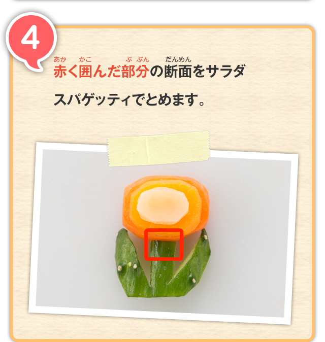 4 赤く囲んだ部分の断面をサラダスパゲッティでとめます。