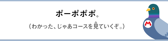 ポーポポポ。（わかった、じゃあコースを見ていくぞ）