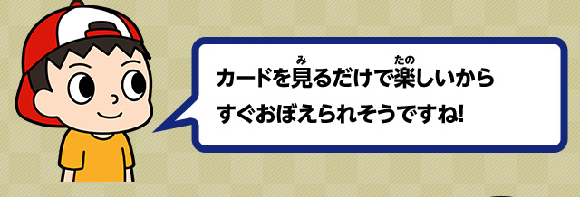 カードを見るだけで楽しいからすぐおぼえられそうですね！