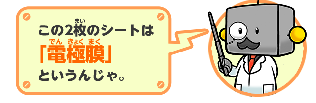 この2枚のシートは「電極膜」というんじゃ。