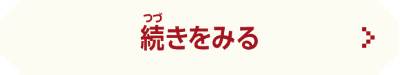 続きをみる