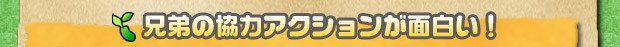 兄弟の協力アクションが面白い