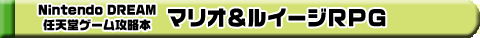 Nintendo DREAM 任天堂ゲーム攻略本 マリオ&ルイージRPG