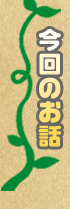 今回のお話