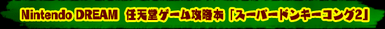 Nintendo DREAM�@�C�V���Q�[���U���{�u�X�[�p�[�h���L�[�R���O2�v