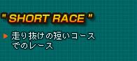 hSHORTRACEh蔲̒ZR[Xł̃[X