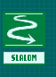 SLALOM