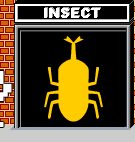 INSECT