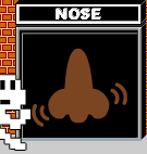NOSE