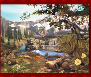 �c���h�����C���[�W