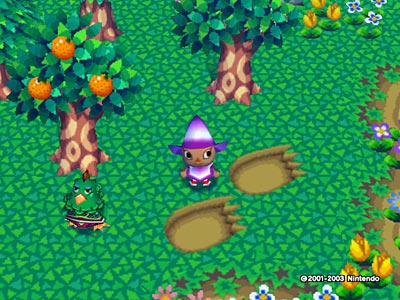 ��������