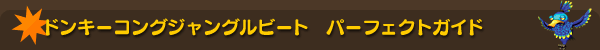 ドンキーコング ジャングルビート パーフェクトガイド