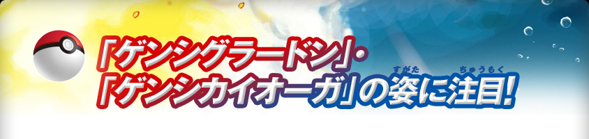 �u�Q���V�O���[�h���v�E�u�Q���V�J�C�I�[�K�v�̎p�ɒ��ځI