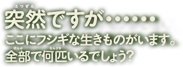 ˑRłEEEEEEɃtVMȐ̂܂BSŉCł傤H