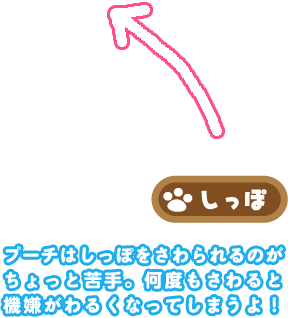 ہ@v[`͂ۂ̂ ƋBx @邭ȂĂ܂I