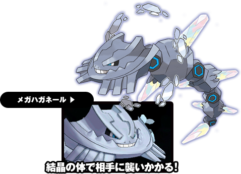 ���K�n�K�l�[���@�����̑̂ő���ɏP��������I