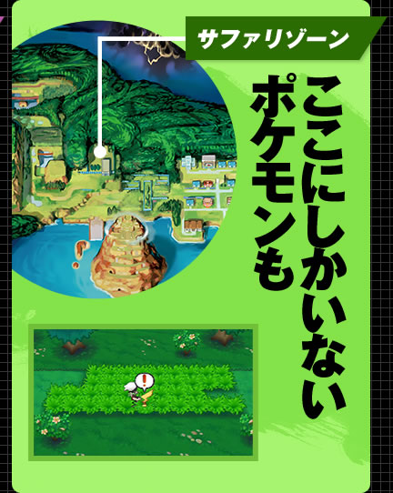 �T�t�@���]�[���@�����ɂ������Ȃ��|�P������