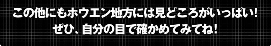 ���̑��ɂ��z�E�G���n���ɂ͌��ǂ��낪�����ς��I���ЁA�����̖ڂŊm���߂Ă݂ĂˁI