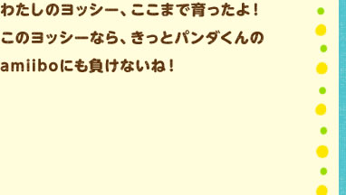 킽̃bV[A܂ňĨbV[ȂAƃp_amiiboɂȂˁI