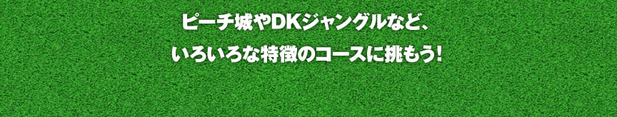 s[`DKWOȂǁA낢ȓ̃R[XɒI