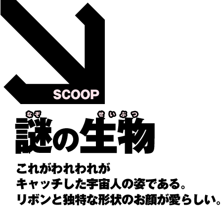 SCOOP�@��̐��� ���ꂪ����ꂪ�L���b�`�����F���l�̎p�ł���B���{���ƓƓ��Ȍ`��̂��炪���炵���B