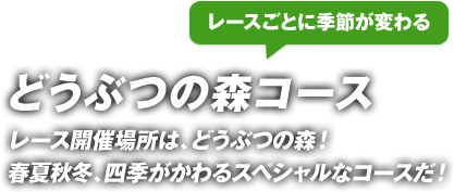 ���[�X���ƂɋG�߂��ς��@�ǂ��Ԃ̐X�R�[�X�@���[�X�J�Ïꏊ�́A�ǂ��Ԃ̐X�I�t�ďH�~�A�l�G�������X�y�V�����ȃR�[�X���I