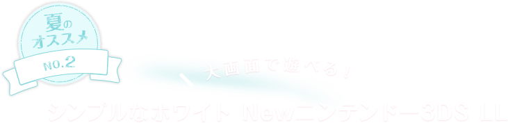 �ẴI�X�X��NO.2�@���ʂŗV�ׂ�I�@�V���v���ȃz���C�g New�j���e���h�[3DS LL