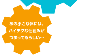 ���̏����ȑ̂ɂ́A�n�C�e�N�Ȏd�g�݂��܂��Ă�炵���c