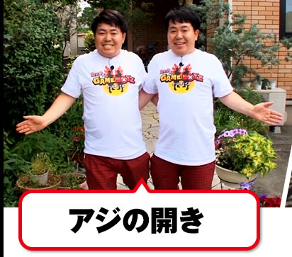 �A�W�̊J��