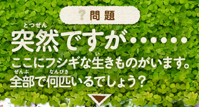 @ˑRłEEEEEEɃtVMȐ̂܂BSŉCł傤H