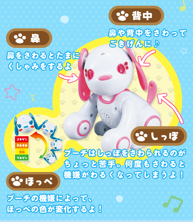 w@@wĂɁ@@@@Ƃ܂ɂ݂@ہ@v[`͂ۂ̂ƋBxƋ@邭ȂĂ܂I@ق؁@v[`̋@ɂāAق؂̐FωI