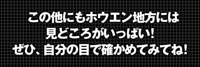 ���̑��ɂ��z�E�G���n���ɂ͌��ǂ��낪�����ς��I���ЁA�����̖ڂŊm���߂Ă݂ĂˁI