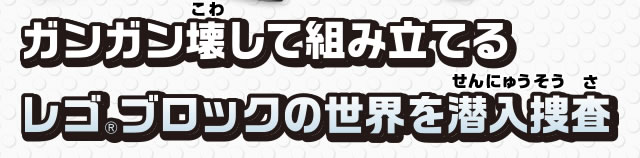 �K���K���󂵂đg�ݗ��Ă�@���S�u���b�N�̐��E������{��