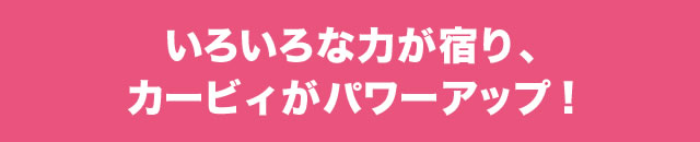 ���낢��ȗ͂��h��A�J�[�r�B���p���[�A�b�v!