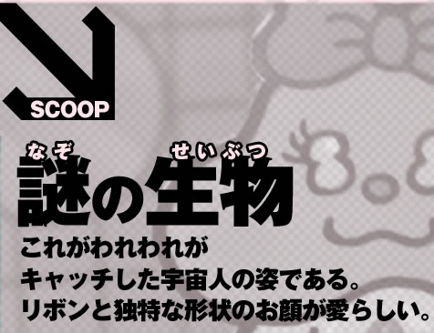 SCOOP�@��̐��� ���ꂪ����ꂪ�L���b�`�����F���l�̎p�ł���B���{���ƓƓ��Ȍ`��̂��炪���炵���B