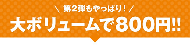 第2弾もやっぱり!大ボリュームで800円!!